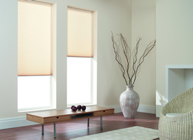 Pleated Blinds